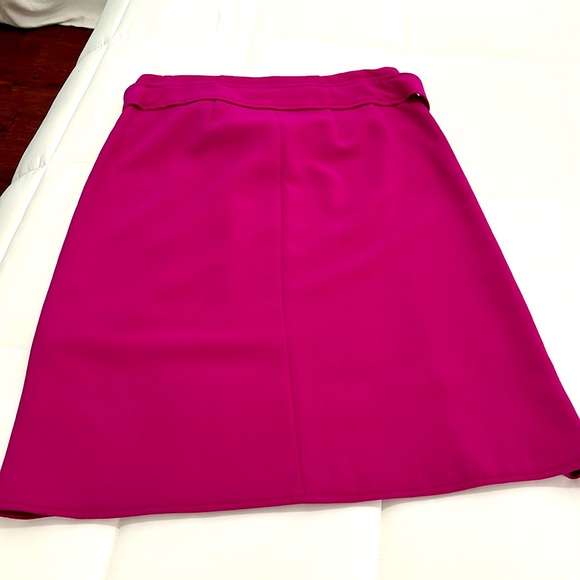 Ann Taylor Fuschia Midi Skirt Sz 10 - Picture 3 of 6